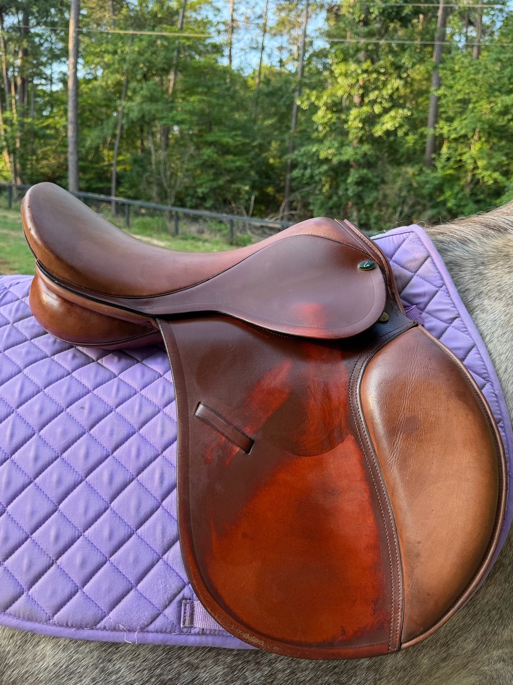 VERY NICE LJD 16 INCH close Contact SADDLE - PESSOA FOR LESS